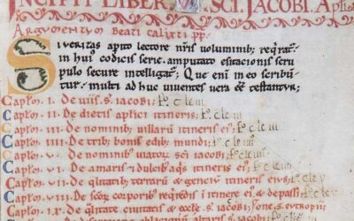 Professor Anguita publishes a paper on the legendary origins of the Vasques in the Codex Calixtinus